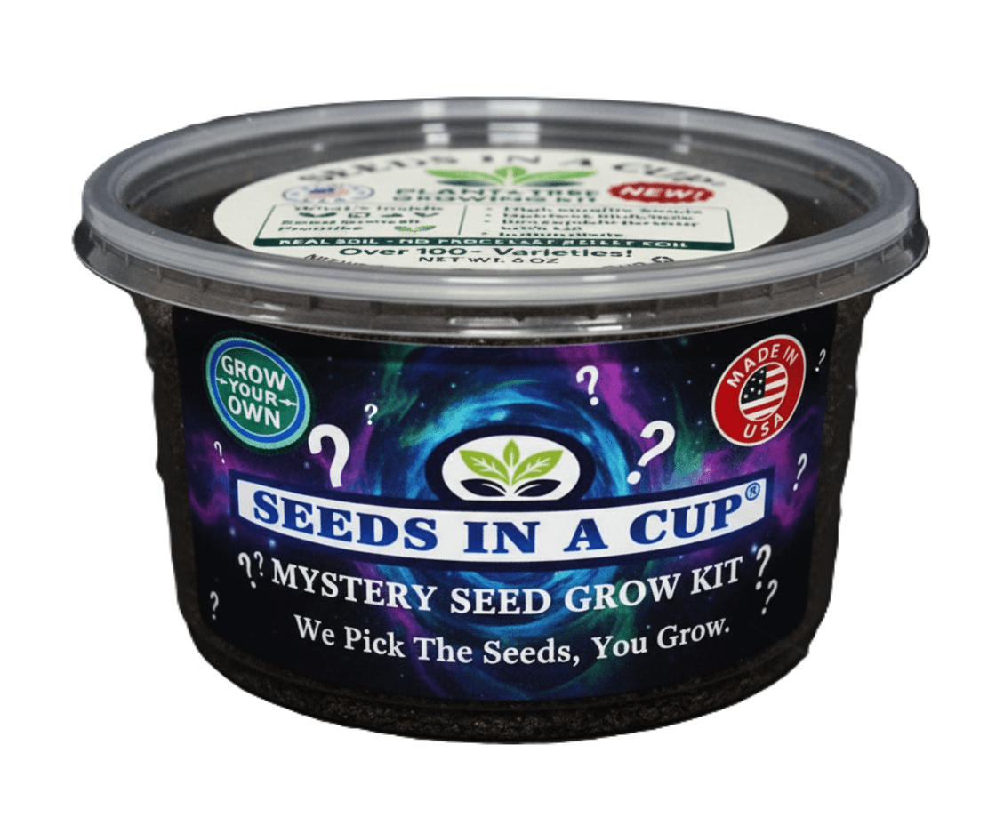 Mystery Plant Grow Kit — Surprise Seeds In A Cup® with Premium Soil, Non‑GMO Seeds, Dual‑Purpose Lid/Saucer, and Easy How‑to‑Grow Instructions
