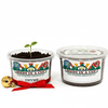 Oregano Grow Kit | Seeds In A Cup®