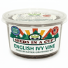 Celery Grow Kit | Seeds In A Cup®
