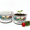 Parsley Grow Kit | Seeds In A Cup®