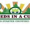 Parsley Grow Kit | Seeds In A Cup®