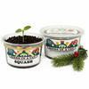 Squash Grow Kit | Seeds In A Cup®