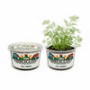 Sunflower Grow Kit | Seeds In A Cup®
