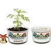 Tarragon Grow Kit | Seeds In A Cup®