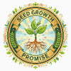 White Birch Tree Grow Kit
