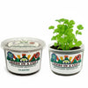 Papaya Grow Kit | Seeds In A Cup®