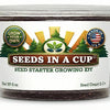 American Holly Grow Kit | Seeds In A Cup®