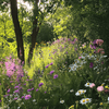 Shady Area Wildflower Seed Mix (20 Varieties) – 1,000 Seeds