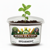 Spearmint Grow Kit | Seeds In A Cup®