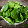 Bloomsdale Spinach – 150 Seeds