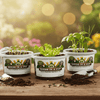 Cucumber Grow Kit | Seeds In A Cup®