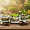 Thyme Grow Kit | Seeds In A Cup®