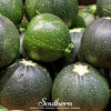 Zucchini Round Summer Squash – 25 Seeds