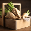 Sugar Beet – 50 Seeds