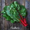 Ruby Red Swiss Chard – 100 Seeds