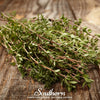 Common Thyme – 250 Seeds