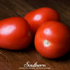Roma VF Tomato – 50 Seeds