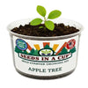 Apple Tree Grow Kit – Non-GMO Seed Starter Set