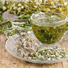 Wormwood – 200 Seeds