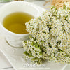 White Yarrow – 100 Seeds