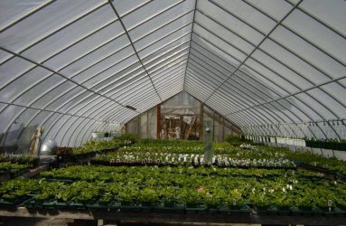 rhodes-greenhouses-garden-center-31